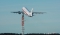 Airbus A310-304